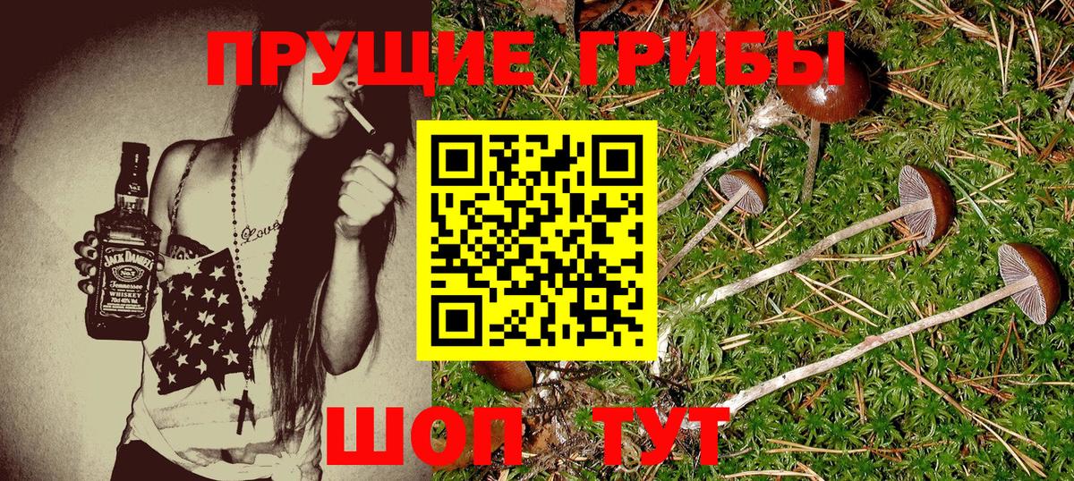 Псилоцибиновые грибы ЛСД Томск