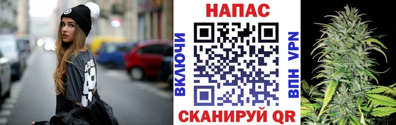 Конопля Bruce Banner Томск